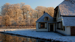 Nature Trees winter water place beautiful House snowy