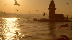 Nature Turkey Istanbul Maiden's Tower