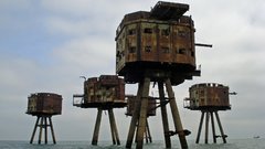 Nature uk Anti Aircraft