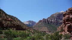 Nature USA zion