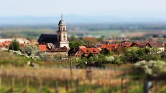 Nature vineyard houses tilt-shift churches townscape