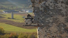 Nature wall destruction farms