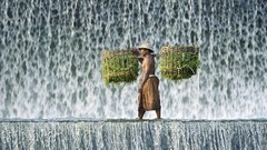 Nature water Bali Indonesia crossing