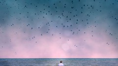 Nature water Birds flock bokeh waterscapes