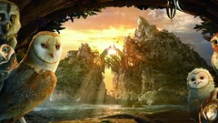 Nature water Birds lakes Owls cavern Legend Of The Guardians