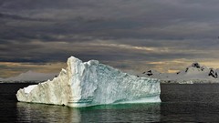 Nature water ice Antarctica icebergs waterscapes