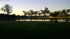 Nature water scene Parks Lake forest