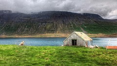 Nature water sheep huts