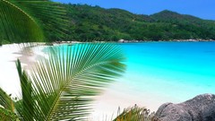 Nature water tropics Beaches