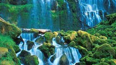 Nature waterfalls serene