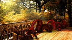 Nature widescreen terrace forests