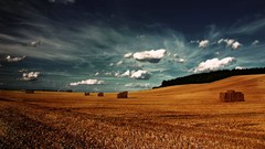 Nature Windows Vista Recolor