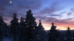 Nature winter clouds red forest moon lonely skyline