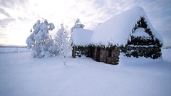 Nature winter snow cabin