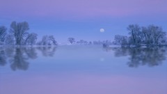 Nature winter south idaho forks