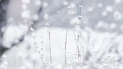 Nature winter Wonderland