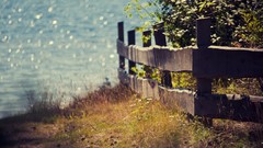Nature Wooden fence fences