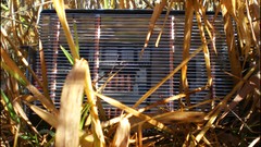 Nature yellow PC Computers gpu ATI Radeon