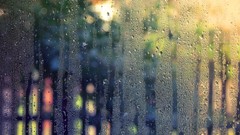 Nature yellow water drops blue rain glass dawn light Green shot 