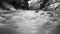 Nature Zion National Park rocks outdoors national park rivers