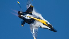 Navy Aviators Blue Angels acrobatics FA-18 Hornet