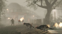 Nazi arbol lobos RUSO perros