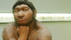 Neanderthal high