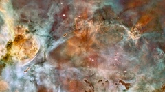 Nebulae crabs