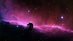 Nebulae Horsehead Nebula