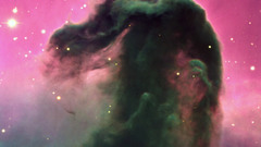 Nebulae Horsehead Nebula