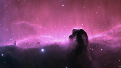 Nebulae Horsehead nebula