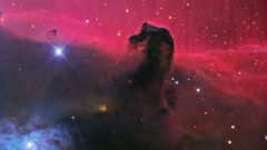 Nebulae Horsehead nebula