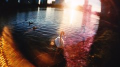 Need please hr shots