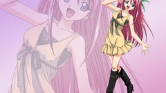 Negima2 Manga Anime
