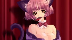 Nekomimi animal ears