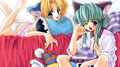 Nekomimi animal ears