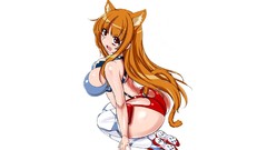 Nekomimi animal ears Asobi