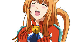 Nekomimi animal ears asobi