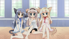 Nekomimi animal ears bare