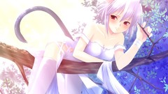 Nekomimi animal ears cat