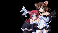 Nekomimi animal ears da