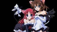 Nekomimi animal ears da