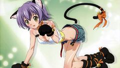 Nekomimi animal ears izumi