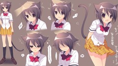 Nekomimi animal ears kaichou