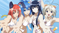 Nekomimi animal ears kampfer