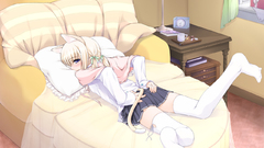 Nekomimi animal ears ooji