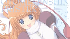 Nekomimi animal ears otome