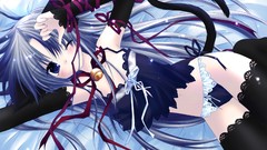 Nekomimi animal ears pure