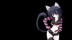 Nekomimi animal ears Simple