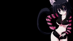 Nekomimi animal ears Simple
